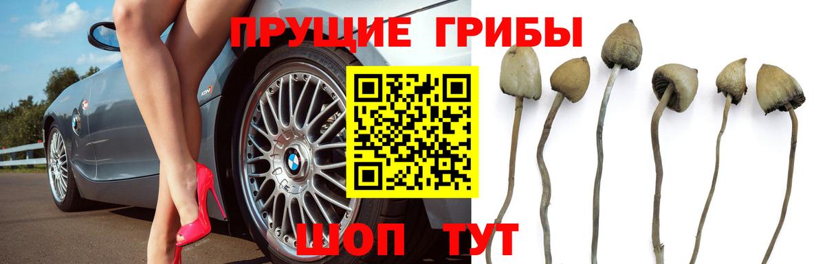 Псилоцибиновые грибы Cubensis  Галлюциногенные грибы ЛСД  Вход с VPN  Южно-Сахалинск 